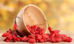 Natural berberine extract from plant ingredients used in daily wellness support