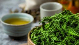 Green tea extract from natural plant leaves used in daily wellness routines
